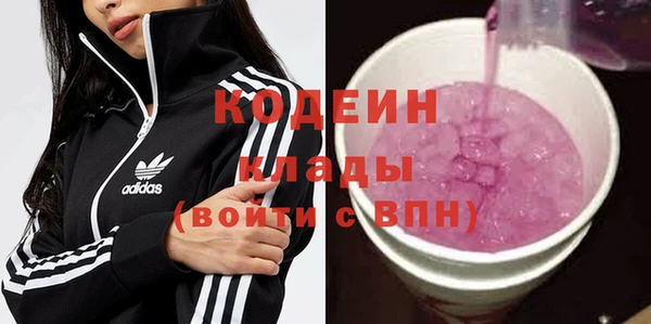 спайс Няндома