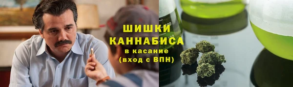 спайс Няндома