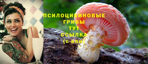 спайс Няндома