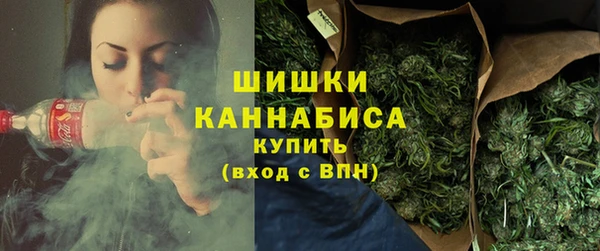 не бодяженный Новозыбков