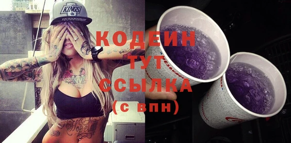 спайс Няндома