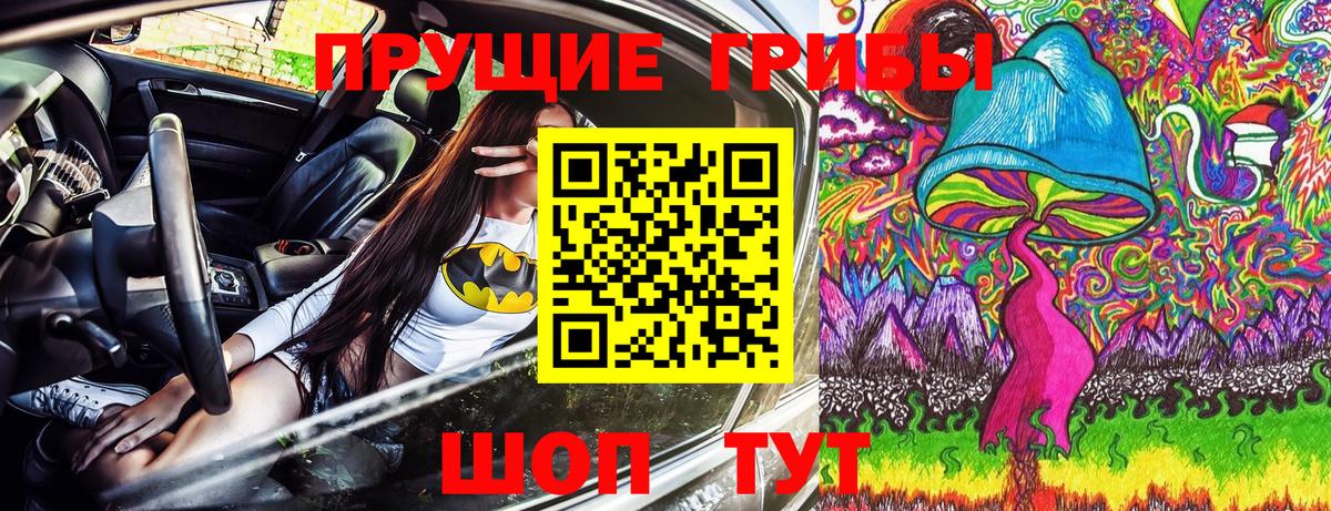 Псилоцибиновые грибы Cubensis Барнаул