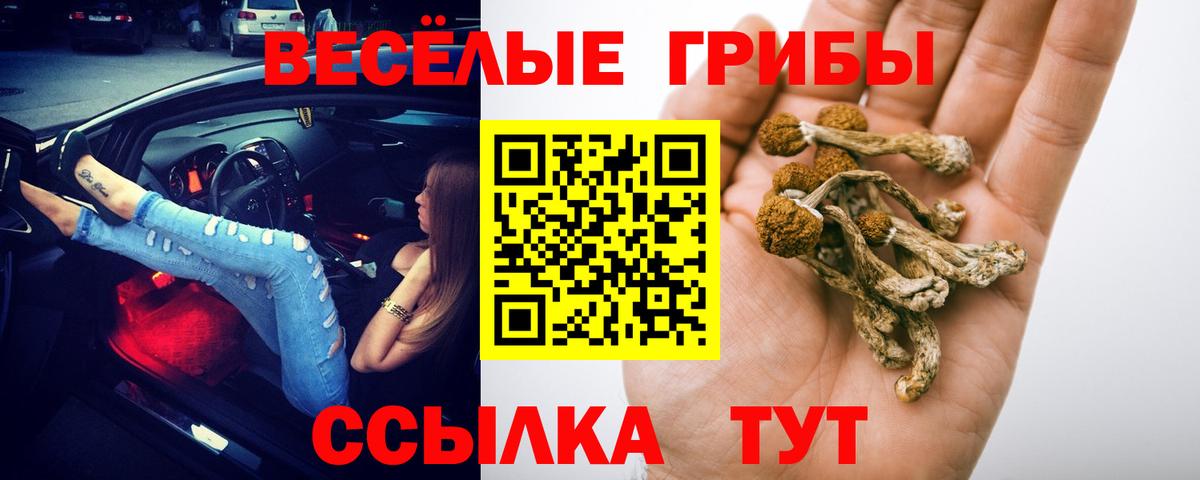 НБОМе  Барнаул  Вход с VPN  ГАШИШ  МЕФ   МЕТАДОН  Марихуана 