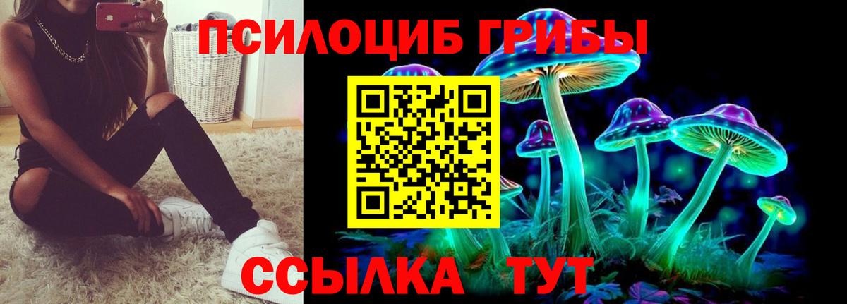 где купить   Псилоцибиновые грибы мухоморы  Вход с VPN  Галлюциногенные грибы Psilocybine cubensis  Барнаул 